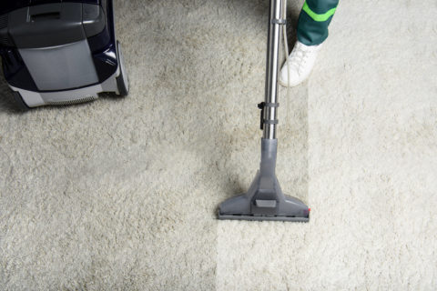 Carpet & Floor Treatment